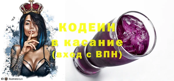 индика Алексин