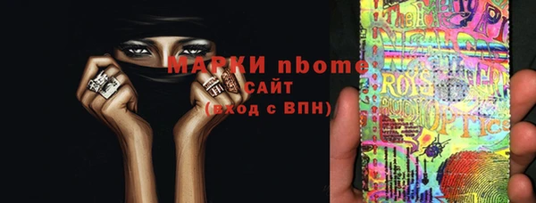 индика Алексин