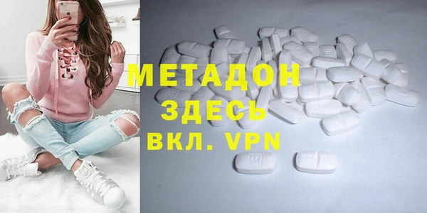 индика Алексин