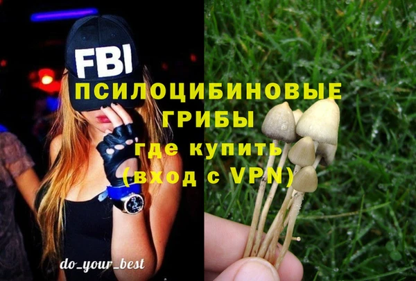 a pvp Алексеевка