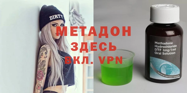 индика Алексин