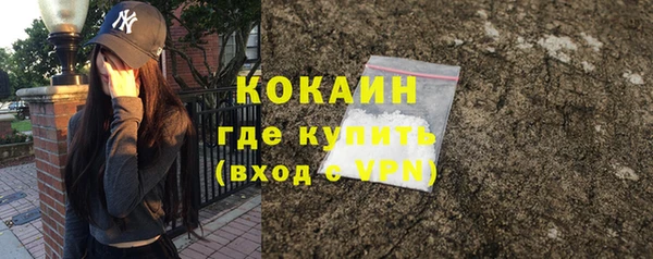 дмт Ельня