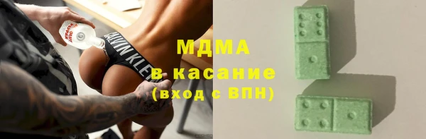 индика Алексин