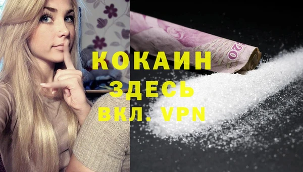 индика Алексин