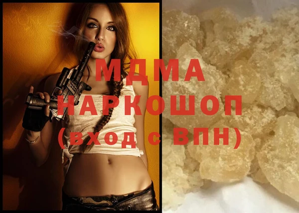 индика Алексин