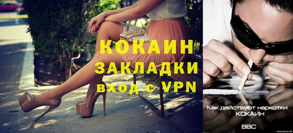 индика Алексин