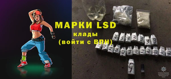 индика Алексин