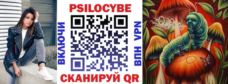 где купить наркоту  hydra зеркало  Галлюциногенные грибы GOLDEN TEACHER  Ачхой-Мартан 